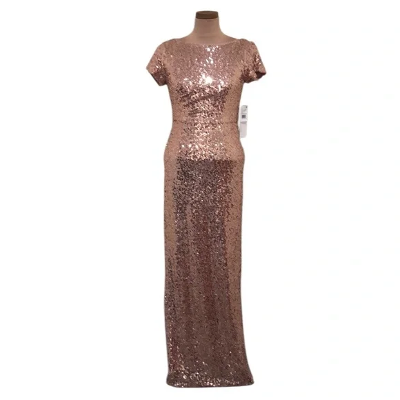 NWT Adrianna Papell Studio Formal Maxi Dress Size 2 Rose Gold Sequin Column  Gown
